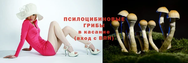 трава Нефтекумск