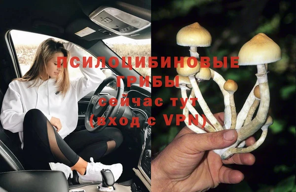 стаф Нефтегорск