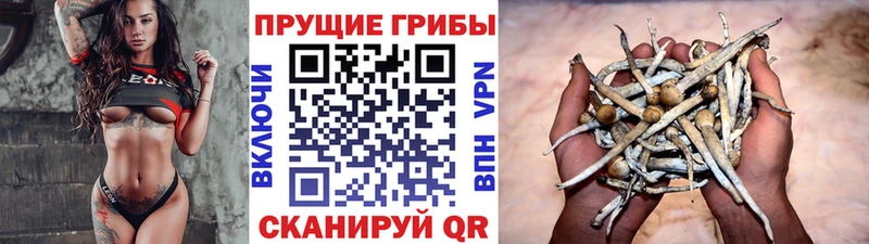 Галлюциногенные грибы мицелий магазин продажи Саратов