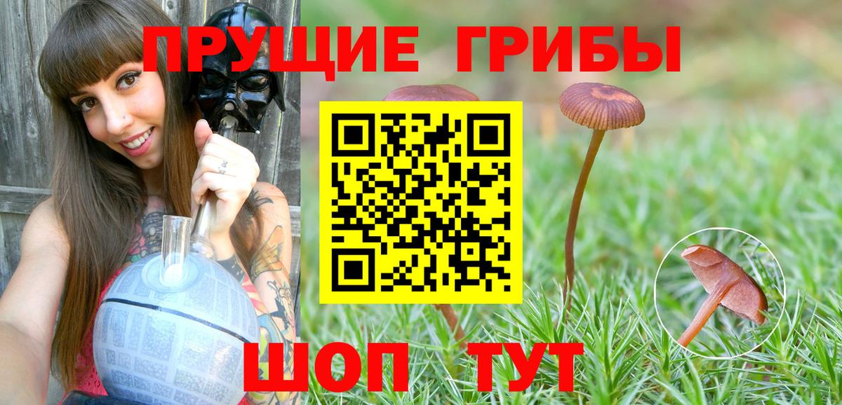 Галлюциногенные грибы Psilocybine cubensis  Галлюциногенные грибы Psilocybe  Вход с VPN  Саратов 