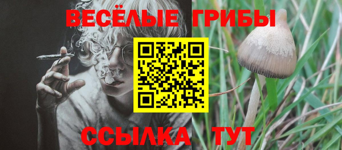 Галлюциногенные грибы мухоморы  Саратов 