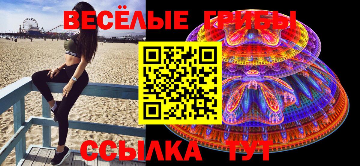Псилоцибиновые грибы мицелий Саратов